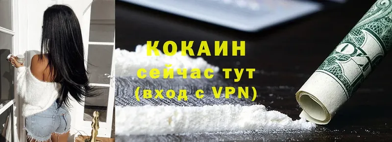 shop официальный сайт  hydra ссылка  Кокаин 97%  Лесозаводск  купить наркотики сайты 