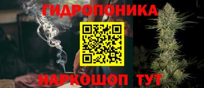 ГАЛЛЮЦИНОГЕННЫЕ ГРИБЫ Гусев