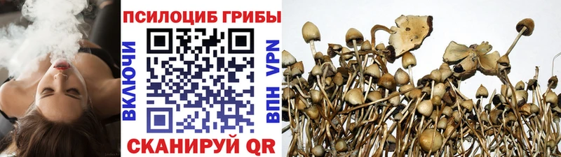 Галлюциногенные грибы Magic Shrooms Лесозаводск