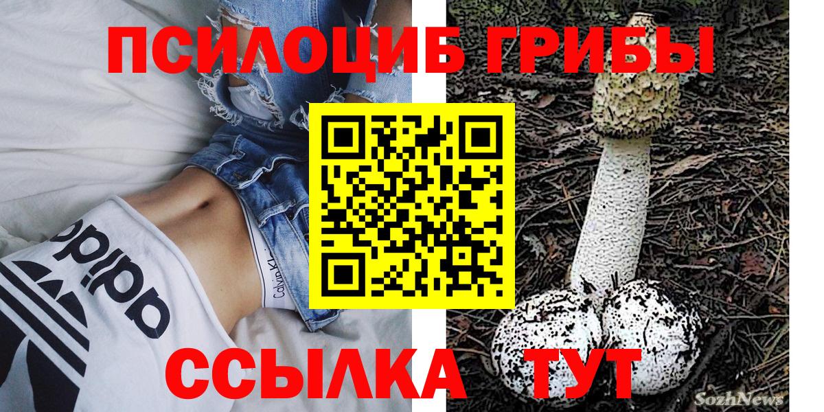 Галлюциногенные грибы ЛСД Лесозаводск