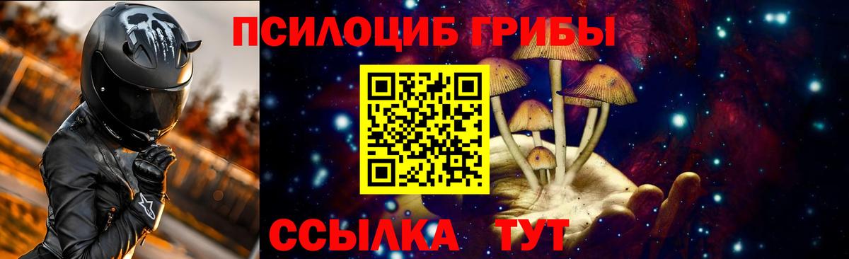 Лесозаводск  Псилоцибиновые грибы GOLDEN TEACHER  Псилоцибиновые грибы Magic Shrooms  Вход с VPN 